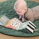 télécharger - 2025-11-05T162751.934.jpg