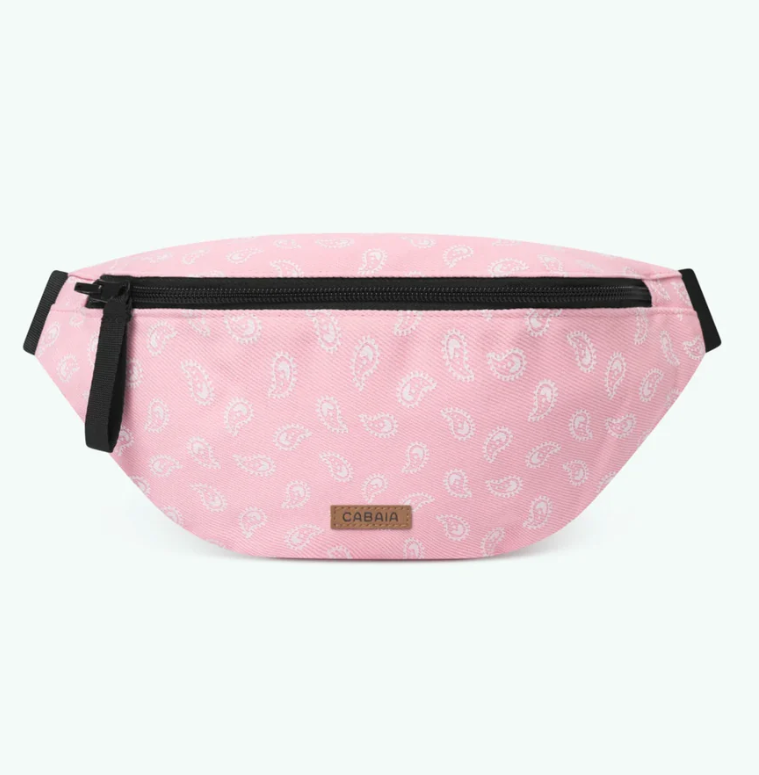 Capture d'écran 2025-02-01 003647.png