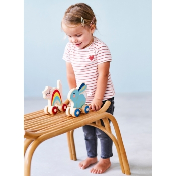 wooden-bunny-push-toy2.jpg