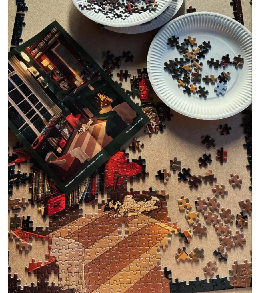 00h10-puzzle-1000-pieces-pour-adulte (1).webp