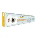 piano-les-animaux-du-monde-sarah-betz (1).webp