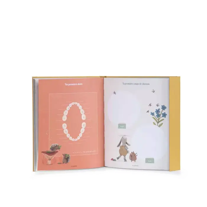 Livre_de_naissance_Trois_petits_lapins_Moulin_Roty_1_1.webp