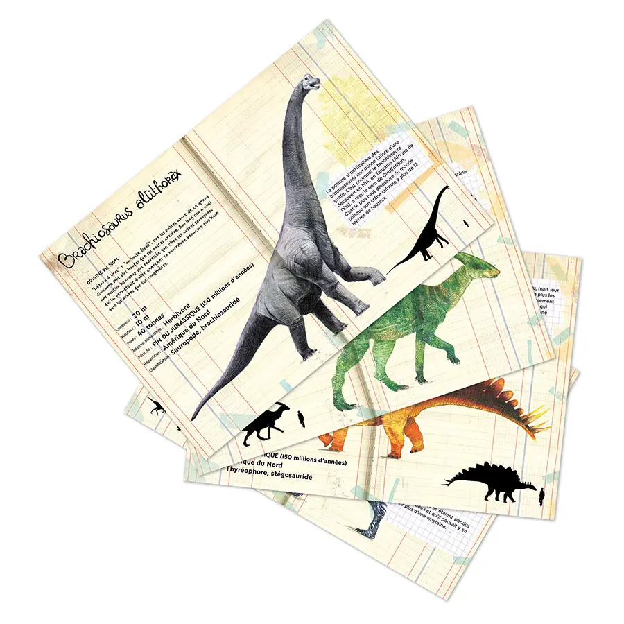9624-vilac-magnets-dinosaures-2.webp
