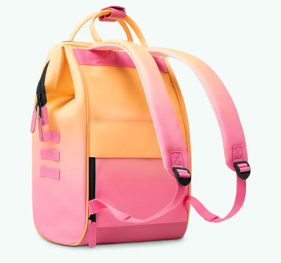 Capture d'écran 2026-01-27 105531.webp