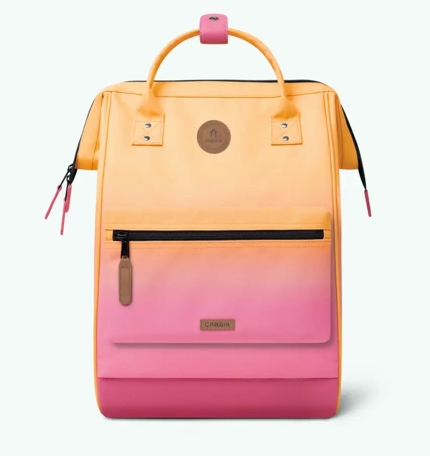 Capture d'écran 2026-01-27 105450.webp