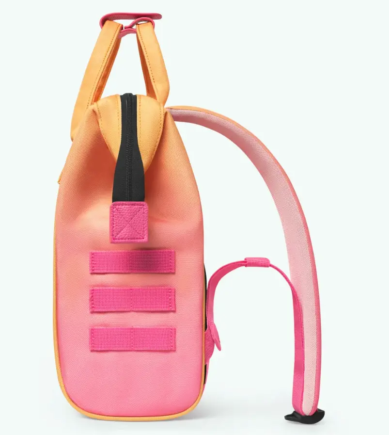 Capture d'écran 2026-01-27 142734.webp