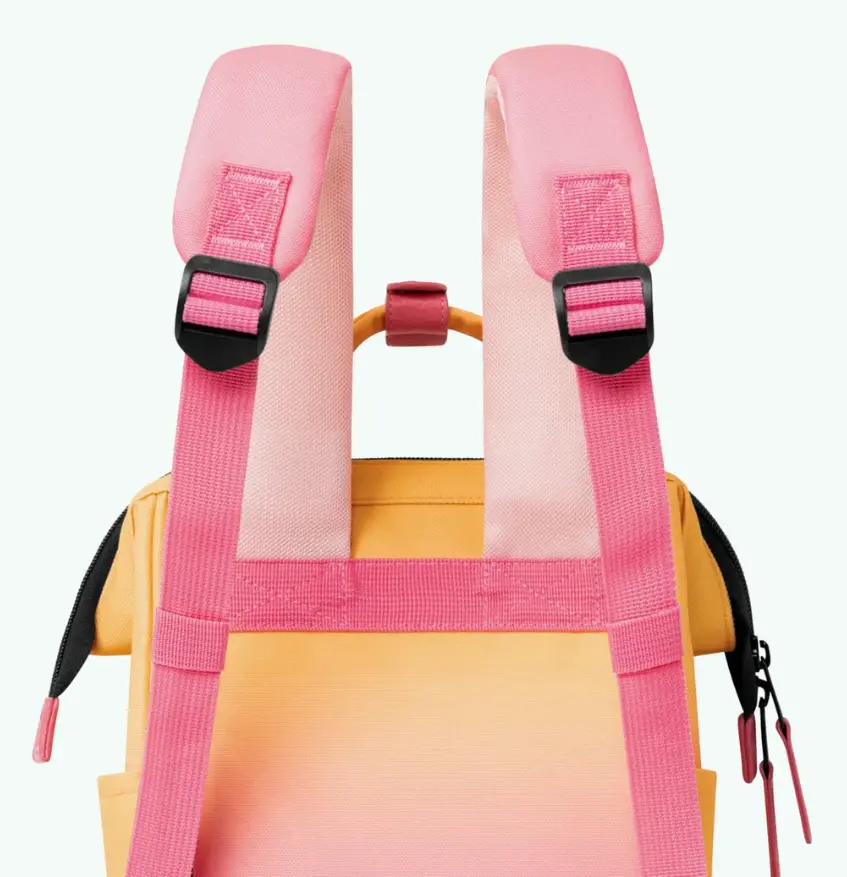 Capture d'écran 2026-01-27 143107.webp