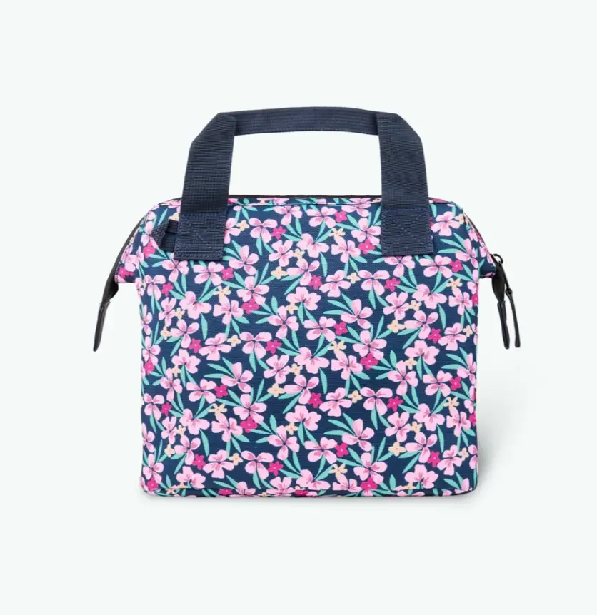 Capture d'écran 2026-01-27 150032.webp