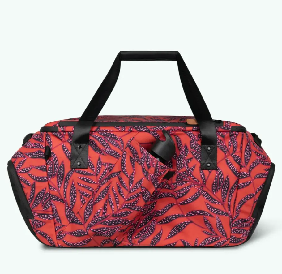 Capture d'écran 2026-01-28 151310.webp