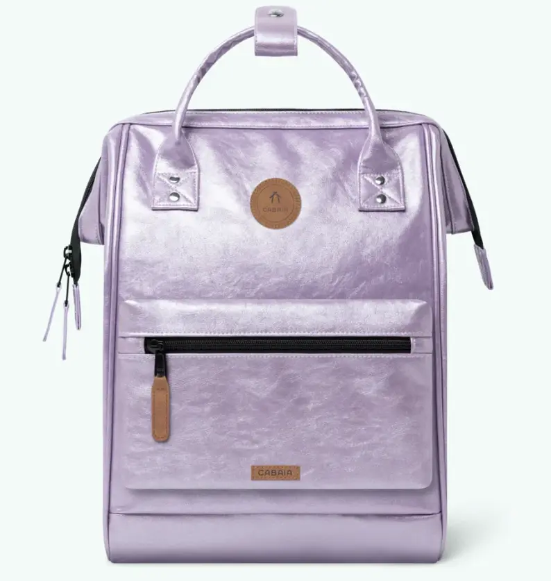 Capture d'écran 2026-01-28 194215.webp