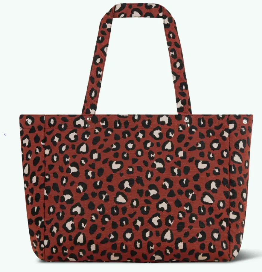 Capture d'écran 2026-01-28 230524.webp