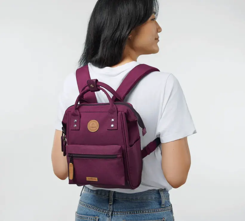 Capture d'écran 2026-01-29 080203.webp