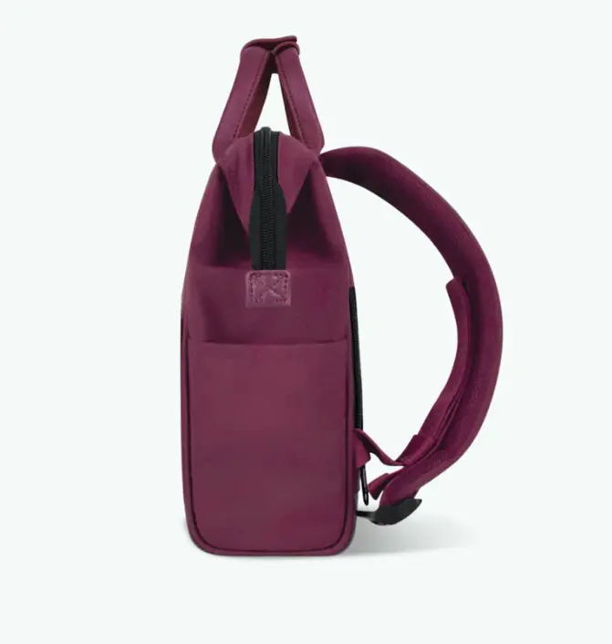 Capture d'écran 2026-01-29 080211.webp