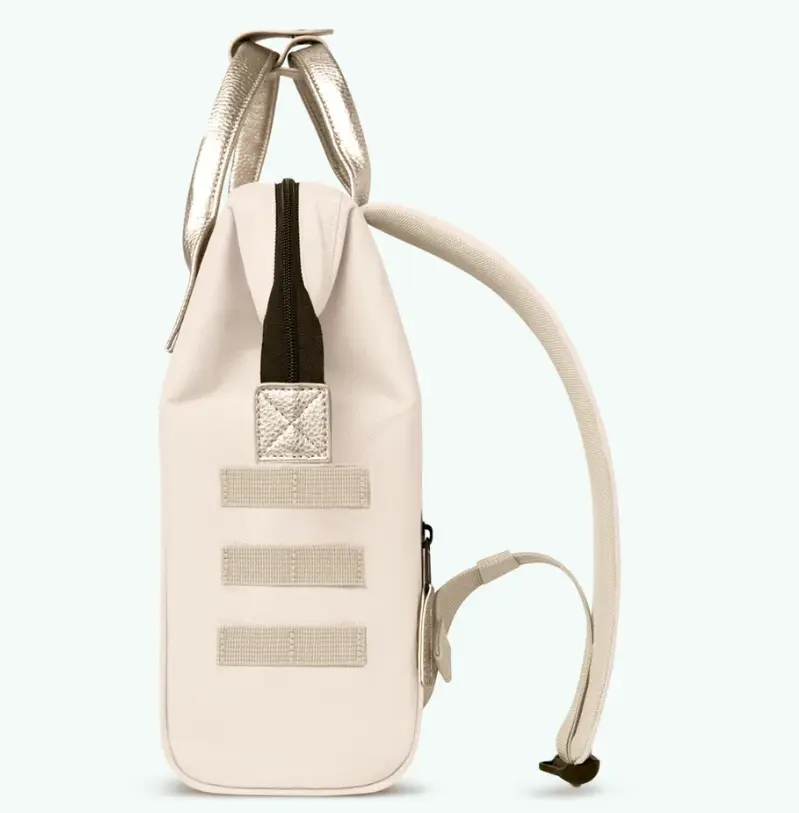 Capture d'écran 2026-01-29 101955.webp