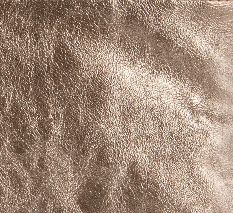 Capture d'écran 2026-01-29 144923.webp