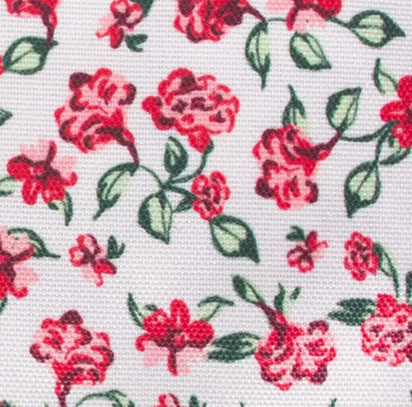 Capture d'écran 2026-01-29 145359.webp