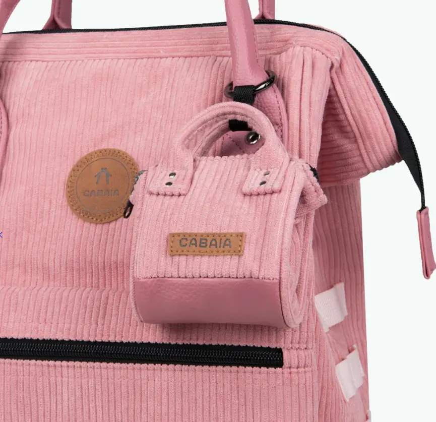 Capture d'écran 2026-01-29 194211.webp