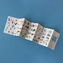 Londji-Puzzles-Animal Planet puzzle (3).webp