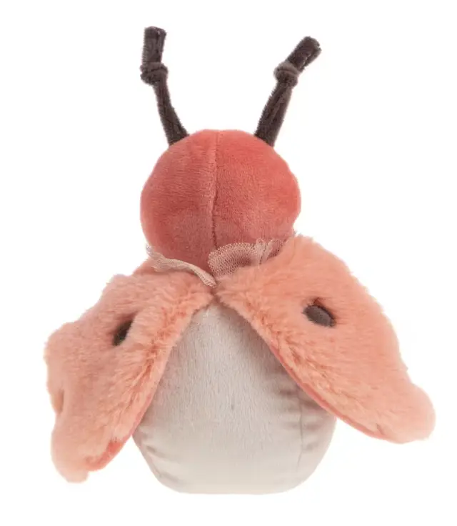 Capture d'écran 2026-02-20 142422.webp