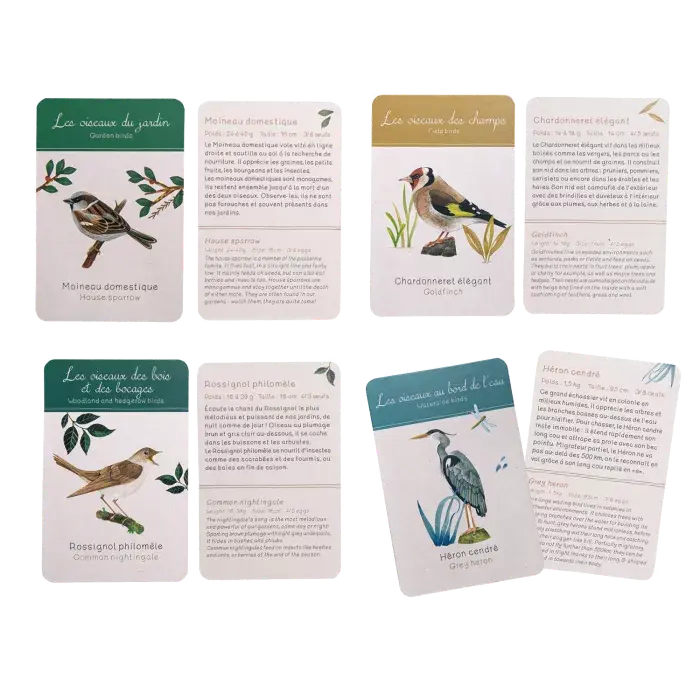 Coffret_Decouverte_oiseaux_Le_Jardin_du_Moulin_Moulin_Roty_10.webp