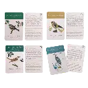 Coffret_Decouverte_oiseaux_Le_Jardin_du_Moulin_Moulin_Roty_10.webp