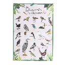 Coffret_Decouverte_oiseaux_Le_Jardin_du_Moulin_Moulin_Roty_5.webp