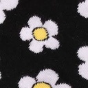 télécharger (5).jpg