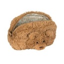 télécharger (90).jpg