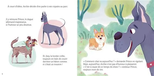 Archie-petit-corgi-grand-defi (1).webp