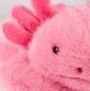 peluche-podcoll-croco-axolotl-1-69a84bf44fab8726258300.webp