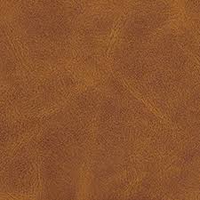 télécharger (39).jpg