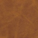 télécharger (39).jpg