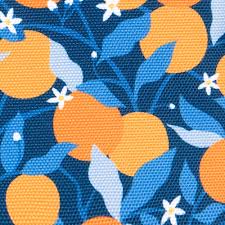 télécharger (25).jpg