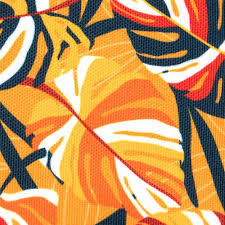 télécharger (23).jpg