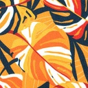 télécharger (23).jpg