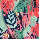 télécharger (17).jpg