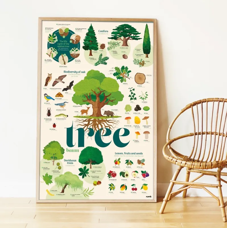 poppik-poster-arbre-tree-nature-animaux-1.webp