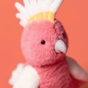 télécharger (61).jpg