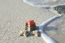 13130379025_3.webp