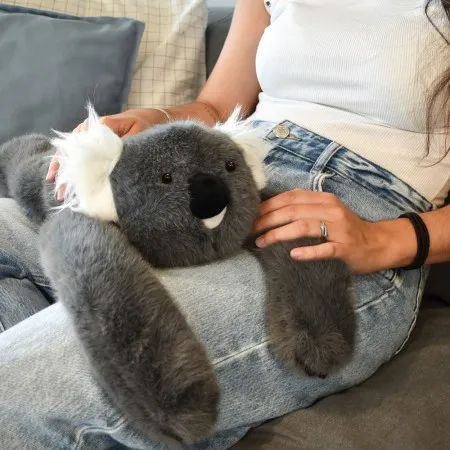 podcoll-panda-12-69a8072732152533982408.webp
