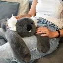 podcoll-panda-12-69a8072732152533982408.webp