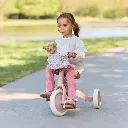 0035402_mix-tricycle-doll-6080pink-ld4665-ld4576-1-shopify-square.webp