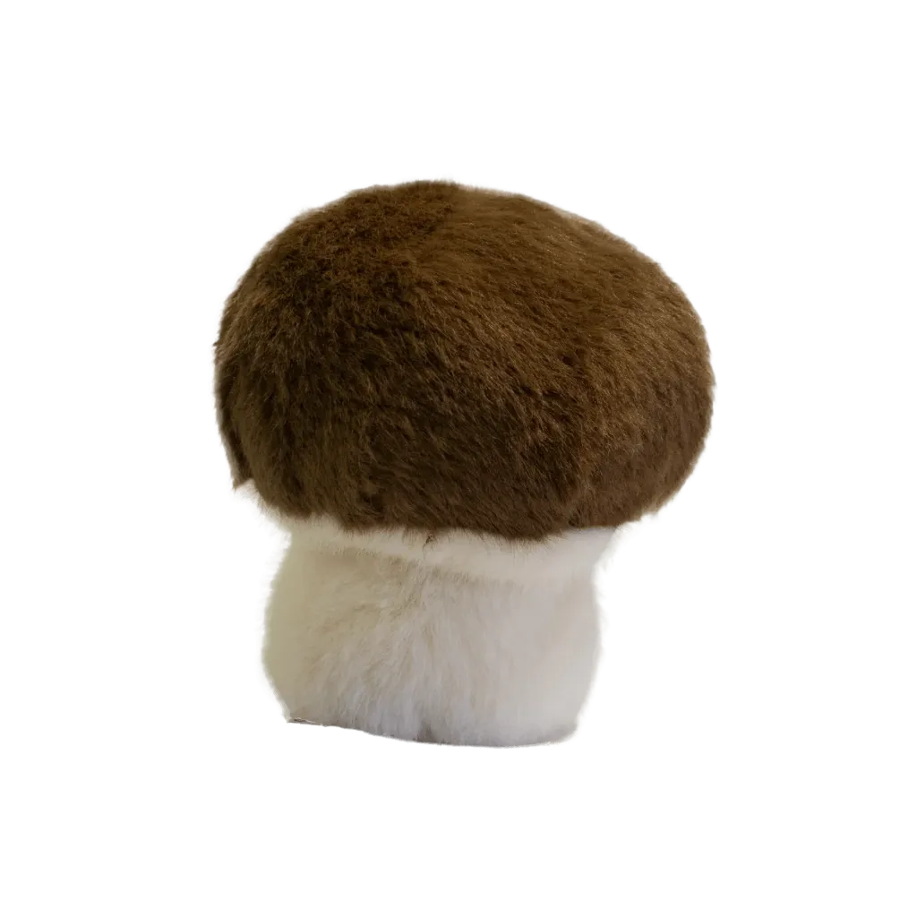 garden-friends-mushroom-4.webp