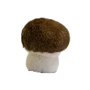 garden-friends-mushroom-4.webp