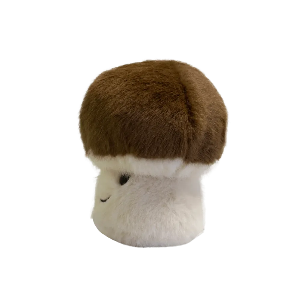 garden-friends-mushroom-5.webp
