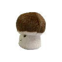 garden-friends-mushroom-5.webp