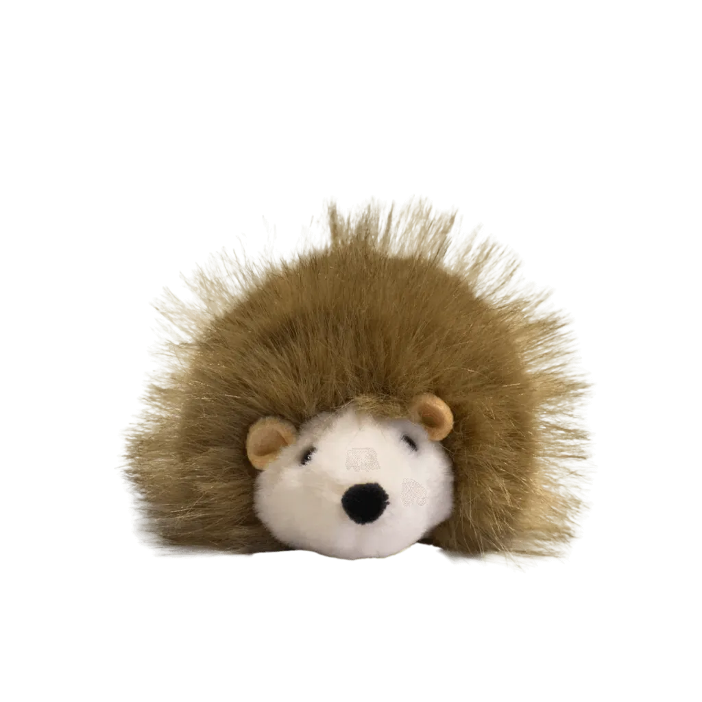 garden-friends-hedgehog-1.webp