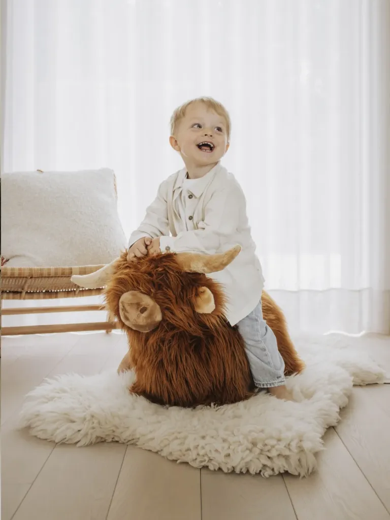 wild-soft-bouncy-cow.webp