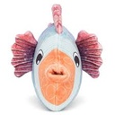 télécharger (59).jpg