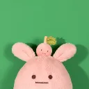 miam-taylor-peach-3-69ba890e9581a698014950.webp